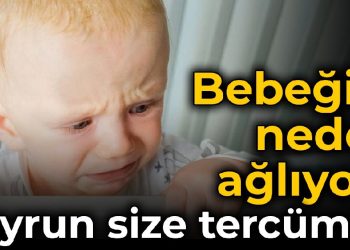 Bebeğim neden ağlıyor? Buyrun size tercüman